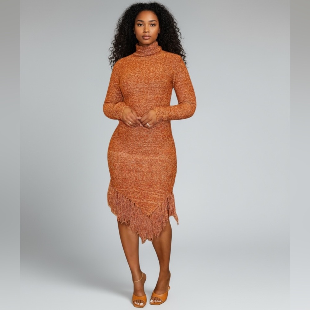 Sweater Dress with Fringe Detail